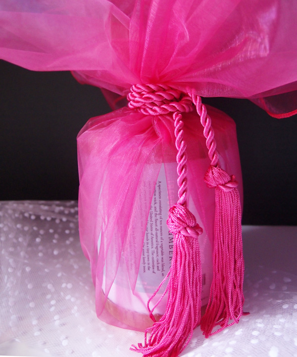 Sheer Wrapper w/ Tassel