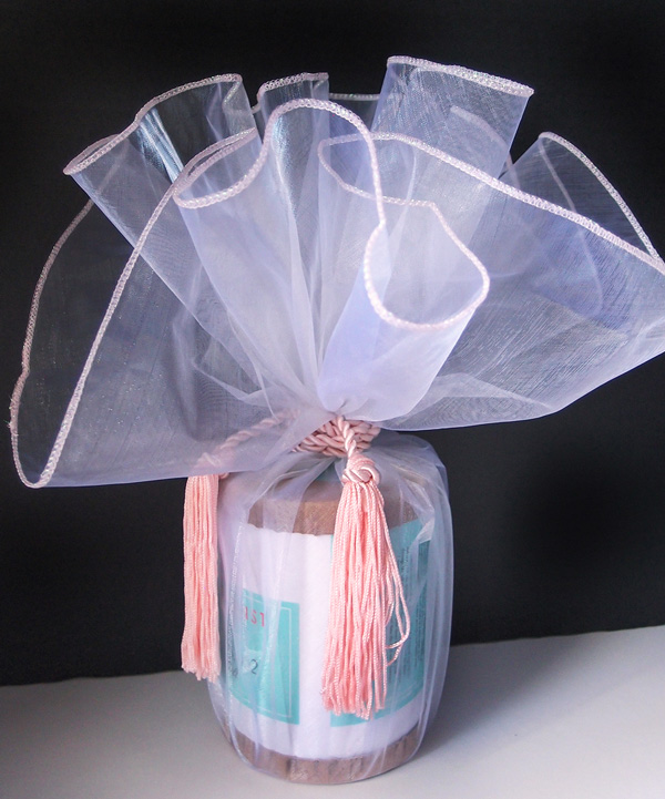 Sheer Wrapper w/ Tassel