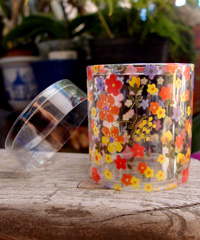 PET Flower Cylinder Box