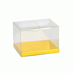 Clear Rectangle Box with Gold Bottom