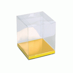 Clear Rectangle Box with Gold Bottom