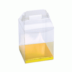 Clear Rectangle Box with Gold Bottom and Gabled Handle