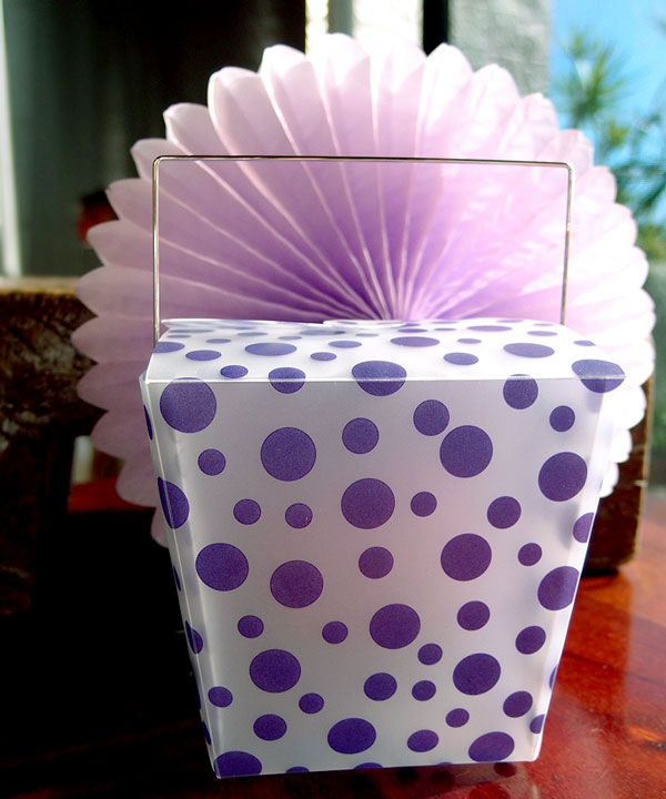 Polka Dot Take Out Boxes