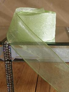 Mint Sheer Ribbon with Wired Edge