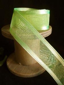 Neon Sheer Ribbon with Satin Wired Edge