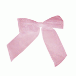 Organza Pre-Tied Bows