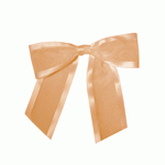 Organza Pre-Tied Bows