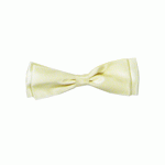 Satin Pre-Tied Bows - 12pcs/pack