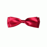 Satin Pre-Tied Bows - 12pcs/pack