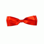 Satin Pre-Tied Bows - 12pcs/pack