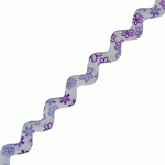 Ric-Rac Ribbon