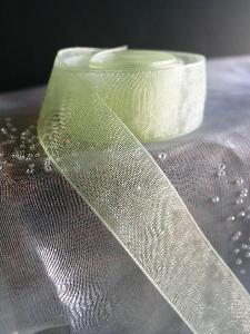 Mint Sheer Ribbon with Monofilament Edge