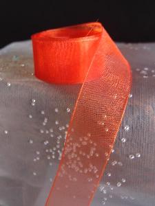 Autumn Sheer Ribbon with Monofilament Edge