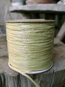 Willow Matte Raffia Ribbon