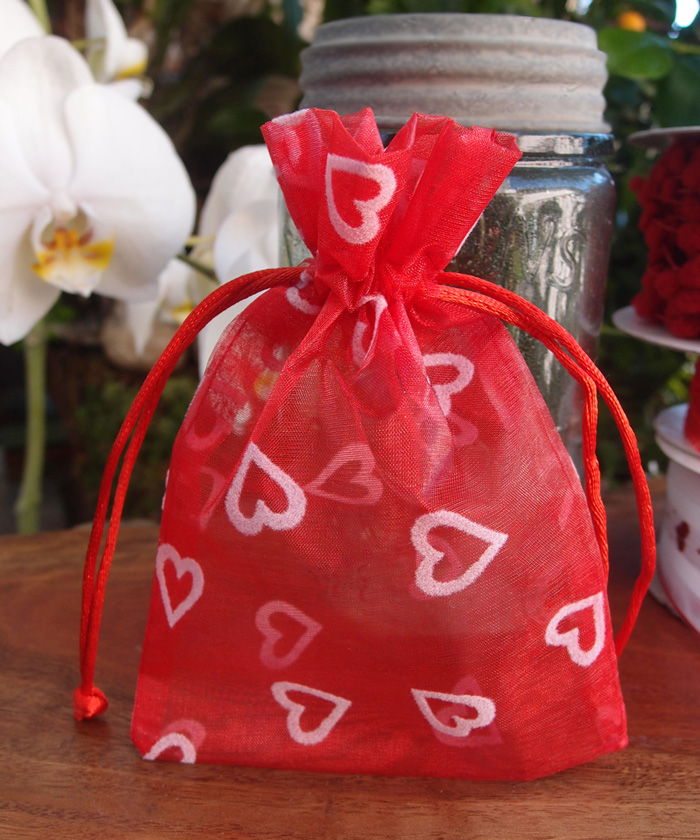 Drawstring Favor Bag with Flocked Hearts