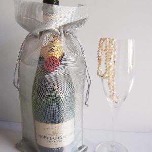 Silver Metallic Wine Bag/ Sheer