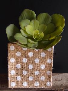 Jute Square Holder with White Polka Dots - 5" x 5" x 5"