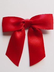 Pre-Tied Satin Bows