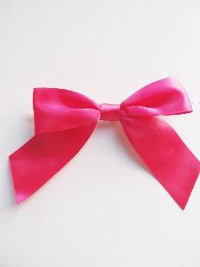 Pre-Tied Satin Bows