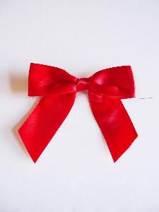 Pre-Tied Satin Bows