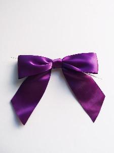 Pre-Tied Satin Bows