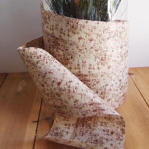 Birch Bark Aspidistra Leaf Ribbon - 4.25" x 50Y