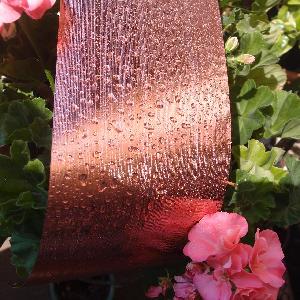 Rose Gold Metallic Aspidistra Leaf Ribbon - 4.25" x 50Y