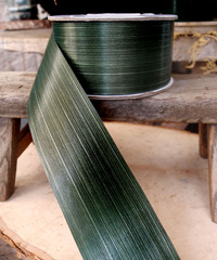 Variegated Aspidistra Ti Leaf Floral Ribbon