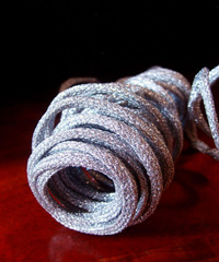 Silver Wired Glittery Rope