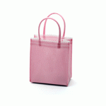 Non-Woven Mini Totes