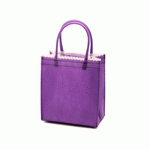 Non-Woven Mini Totes