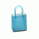 Non-Woven Mini Totes