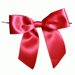 Pre-Tied Satin Bows