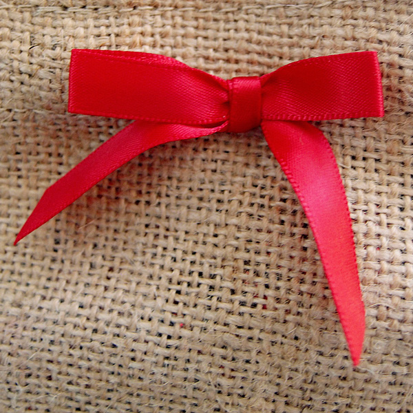 Pre-Tied Satin Bows