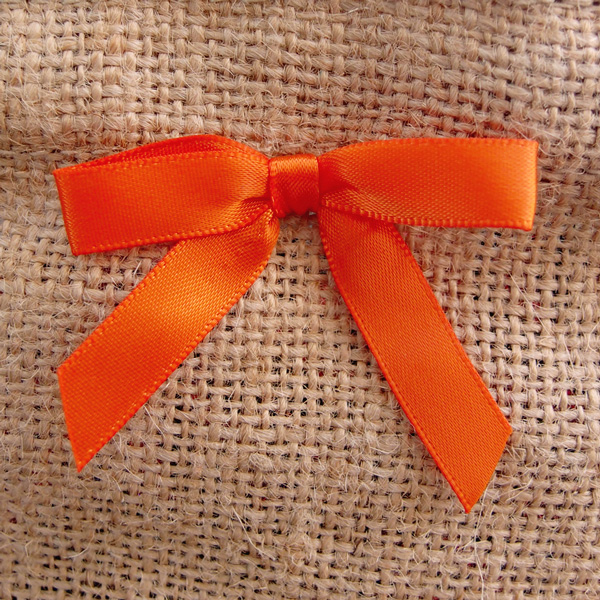 Pre-Tied Satin Bows