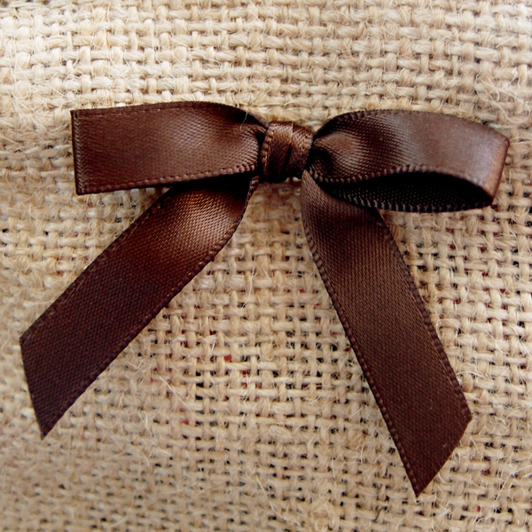 Pre-Tied Satin Bows