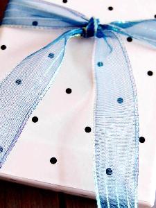 Blue Sheer Shimmery Corsage Ribbon