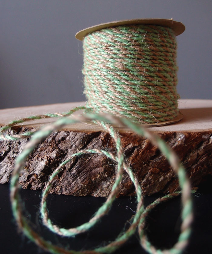 Mint Two-Tone Jute Twine (2.5mm)