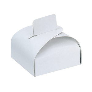 Mini White Kraft Paper -Tab Clasp Favor Box