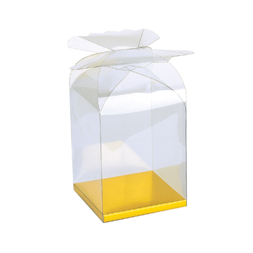 Clear Rectangle Box with Gold Bottom and Flower Closure