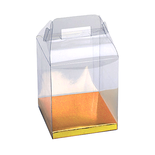 Clear Rectangle Box with Gold Bottom and Gabled Handle