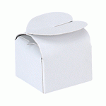 White Mini Butterfly Clasp Favor Box