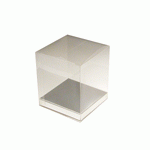 Clear Rectangle Box with Silver Bottom