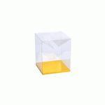 Clear Rectangle Box with Gold Bottom