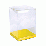 Clear Rectangle Box with Gold Bottom