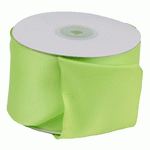 Lime Taffeta Ribbon with Wired Edge