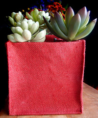 Red Jute Square Holder - 6" x 6" x 6"