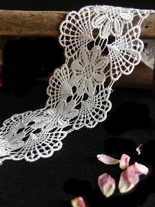 Embroidery Floral Lace Ribbon - 3" x 5Y
