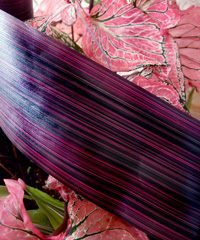 Variegated Aspidistra Ti Leaf Floral Ribbon