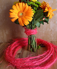 Hot Pink Sisal Wire Rope